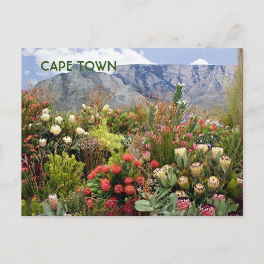Kaapstad:Zuid-Afrika — bloemdisplay, wildbloemen Briefkaart (Voorkant)