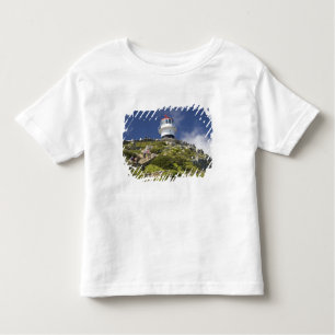 Kaapstad, Zuid-Afrika. Een vuurtoren op de Kinder Shirts