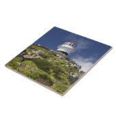 Kaapstad, Zuid-Afrika. Een vuurtoren op de Tegeltje (Zijkant)
