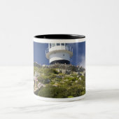 Kaapstad, Zuid-Afrika. Een vuurtoren op de Tweekleurige Koffiemok (Center)