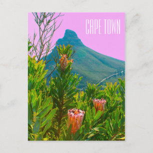 Kaapstad Zuid-Afrika Protea Lion's hoofd Briefkaart