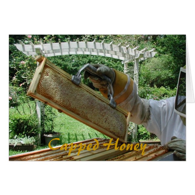 Kaapte honing (Voorkant Horizontaal)