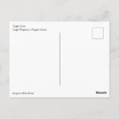 Kaapverdische kap, Cape Perpetua, Oregon Briefkaart (Achterkant)