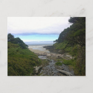 Kaapverdische kap, Cape Perpetua, Oregon Briefkaart