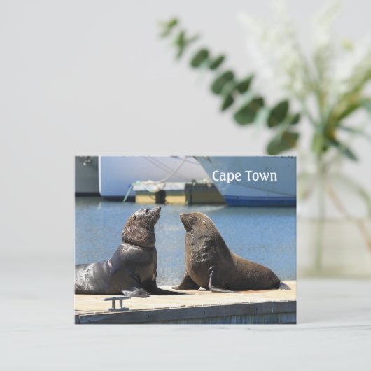 Kaapverdische zegel, waterfront, Zuid-Afrika Briefkaart (Staand voorkant)