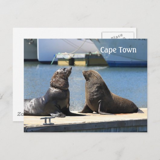Kaapverdische zegel, waterfront, Zuid-Afrika Briefkaart (Voorkant / Achterkant)