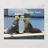 Kaapverdische zegel, waterfront, Zuid-Afrika Briefkaart (Voorkant)