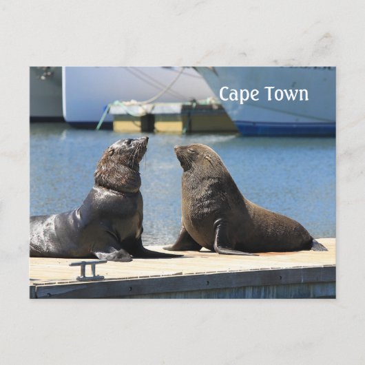 Kaapverdische zegel, waterfront, Zuid-Afrika Briefkaart (Voorkant)