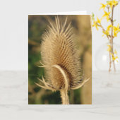 Kaardebol Kaart (Gele Bloem)