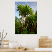 Kaarsboom (Dracaena Concina), Eiland Aux Poster (Keuken)