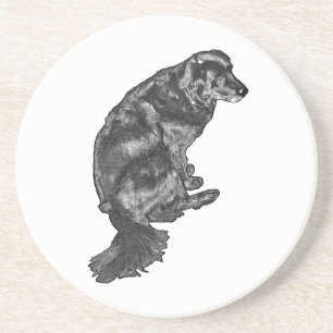 Kaarslicht Sip Companion — Retriever Zandsteen Onderzetter