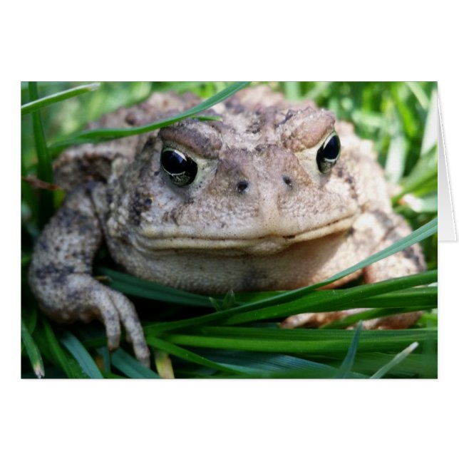  kaart (Voorkant Horizontaal)