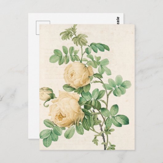  kaart (Voorkant / Achterkant)