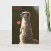 Kaart 005 van Valentijn van Meerkat (Voorkant)
