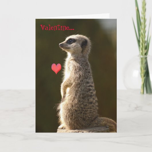 Kaart 005 van Valentijn van Meerkat (Voorkant)