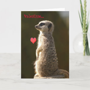 Kaart 005 van Valentijn van Meerkat