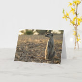 Kaart 1 van de Verjaardag van Zaphod twaalfde (Gele Bloem)