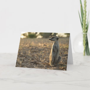 Kaart 1 van de Verjaardag van Zaphod twaalfde