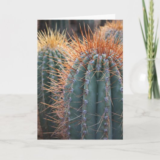 Kaart 2 van Ferocactus (Voorkant)