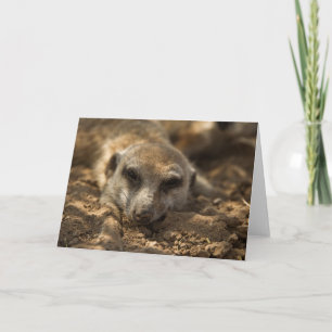 Kaart 4 van de Verjaardag van Zaphod 12de