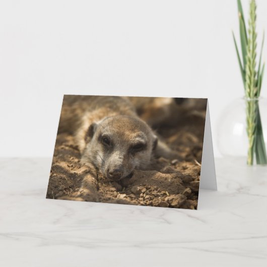 Kaart 4 van de Verjaardag van Zaphod 12de (Voorkant)