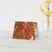 Kaart 8 van het Park van de Pionier van de boom (Gele Bloem)