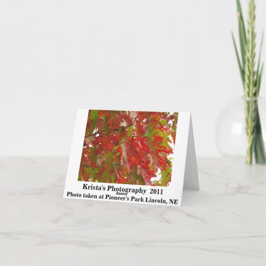 Kaart 8 van het Park van de Pionier van de boom (Achterkant)