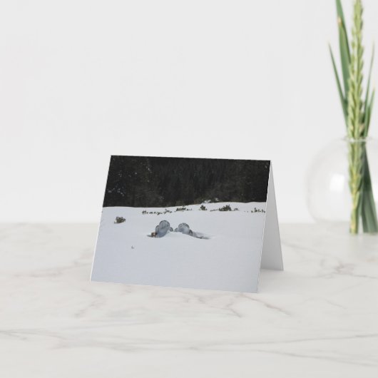 Kaart - adirondack stoelen in sneeuwafwijking (Voorkant)