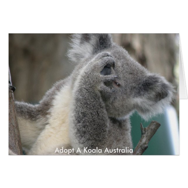 Kaart adopteert een Koala Australia-poot (Voorkant Horizontaal)