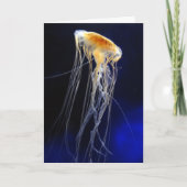 Kaart - Afdrijvend Kant (Voorkant)