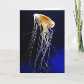 Kaart - Afdrijvend Kant