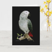 Kaart - African Grey Parrot (Gele Bloem)