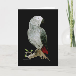 Kaart - African Grey Parrot