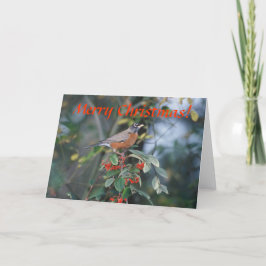Kaart / Amerikaanse Robin / Kerst
