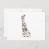  kaart Antiek staatskaart Delaware Afbeelding (Voorkant / Achterkant)