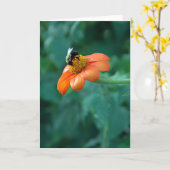Kaart bij bijen (Gele Bloem)
