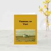 Kaart - blanco - meeuw - Denken aan jou! (Gele Bloem)