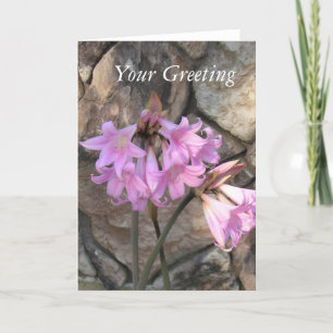 Kaart - blank - Pink Ladies