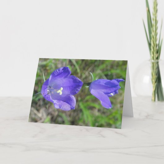 Kaart blauw paar bloemen, blanco (Voorkant)