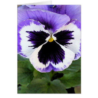 Kaart - Blauwe, witte en Paarse Pansy