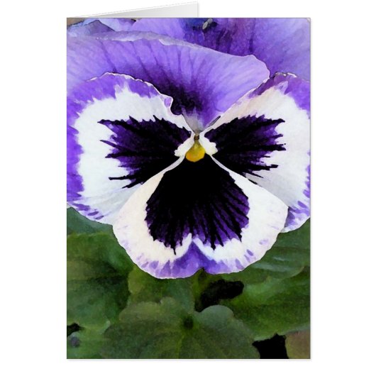 Kaart - Blauwe, witte en Paarse Pansy (Voorkant)