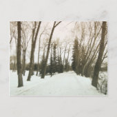 kaart - bomen in de winter (Voorkant)