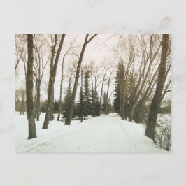 kaart - bomen in de winter