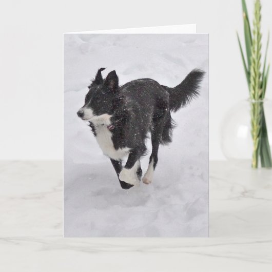 Kaart - Border collie die de Sneeuw doornemen (Voorkant)