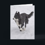 Kaart - Border collie die de Sneeuw doornemen<br><div class="desc">Deze kaart schildert border collie af doornemend haar eerste sneeuw.</div>