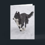 Kaart - Border collie die de Sneeuw doornemen<br><div class="desc">Deze kaart schildert border collie af doornemend haar eerste sneeuw.</div>