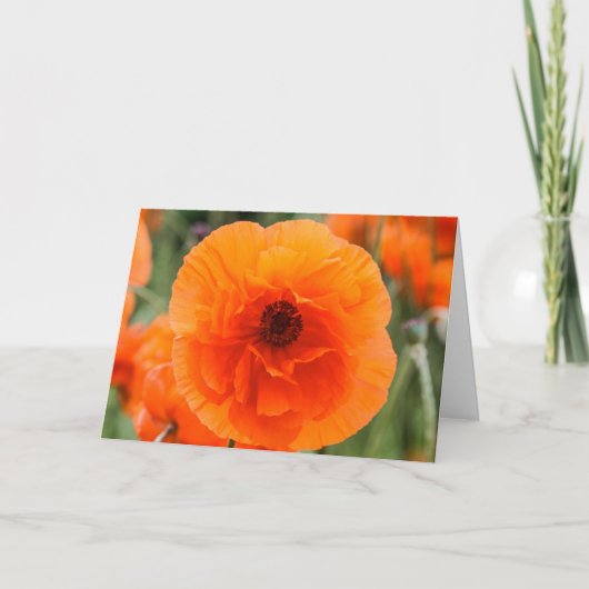 Kaart Bright Poppy Flowers Moederdag (Voorkant)