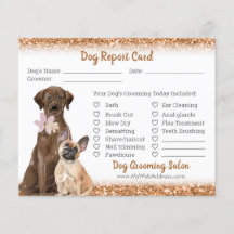 Kaart brochure koper Glitter Dog Grooming Report