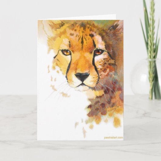 Kaart - Cheetah! (Voorkant)