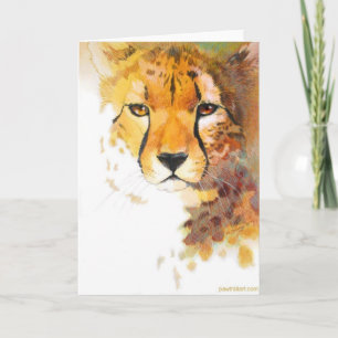 Kaart - Cheetah!
